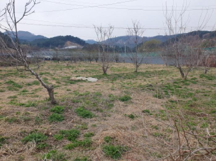 경기 가평군 상면 전 경매 물건 사진 2 · 2025타경71464