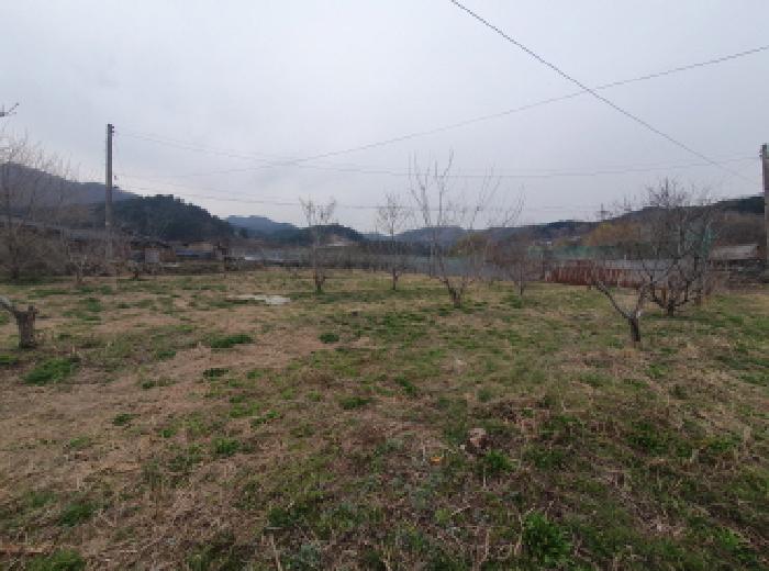 경기 가평군 상면 전 경매 물건 사진 3 · 2025타경71464