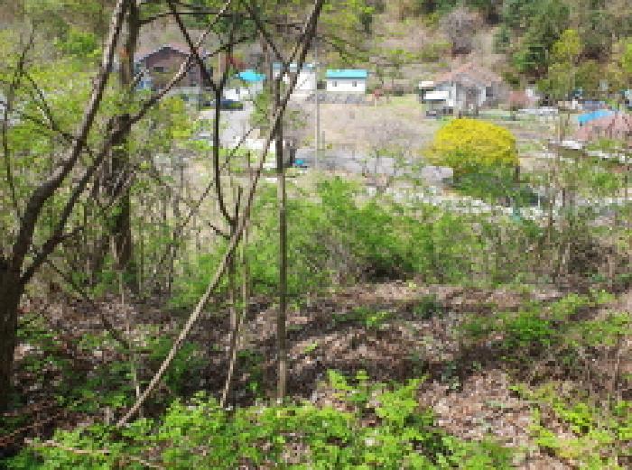 경기 가평군 설악면 전 경매 물건 사진 4 · 2025타경71559