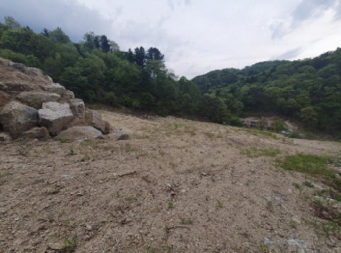 경기 가평군 설악면 답 경매 물건 사진 3 · 2025타경71589