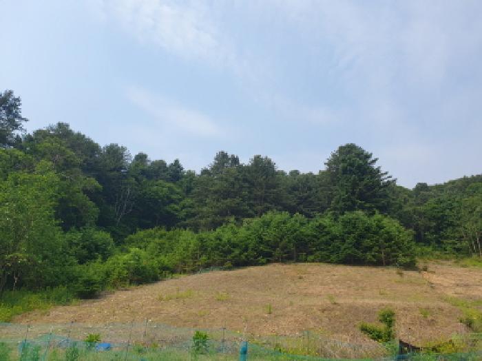 경기 가평군 가평읍 대지 경매 물건 사진