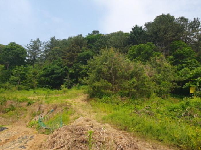 경기 가평군 가평읍 대지 경매 물건 사진 4 · 2025타경71698