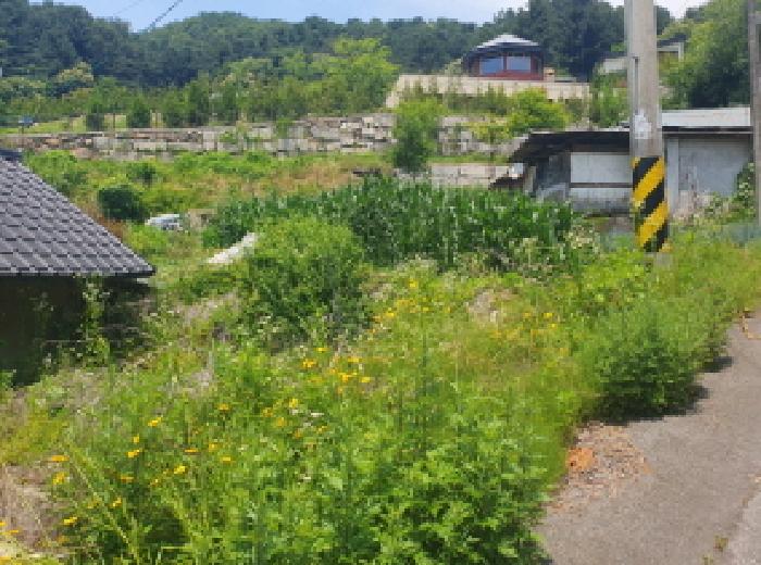 경기 가평군 설악면 전 경매 물건 사진 2 · 2025타경71701