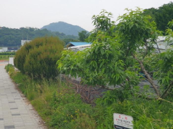 경기 가평군 조종면 근린생활시설 경매 물건 사진 6 · 2025타경71711