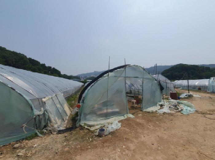 경기 남양주시 평내동 전 경매 물건 사진 3 · 2025타경71730