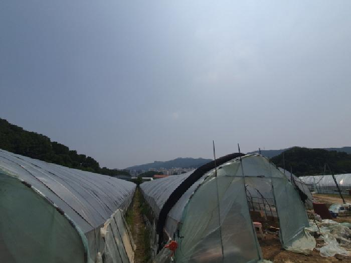 경기 남양주시 평내동 전 경매 물건 사진 4 · 2025타경71730