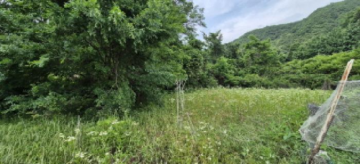 경기 남양주시 별내면 전 경매 물건 사진 3 · 2025타경71762