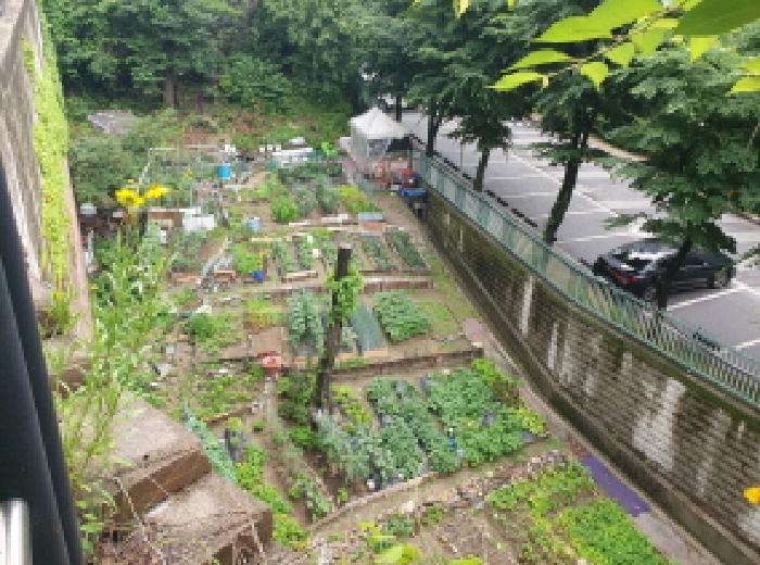 경기 남양주시 화도읍 답 경매 물건 사진