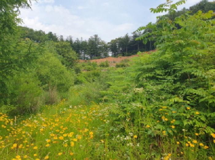 경기 가평군 설악면 대지 경매 물건 사진