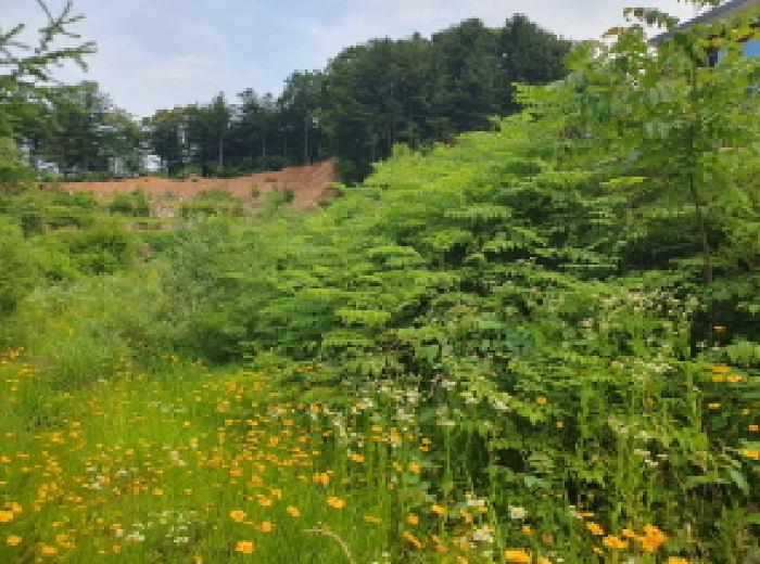 경기 가평군 설악면 대지 경매 물건 사진 2 · 2025타경71813
