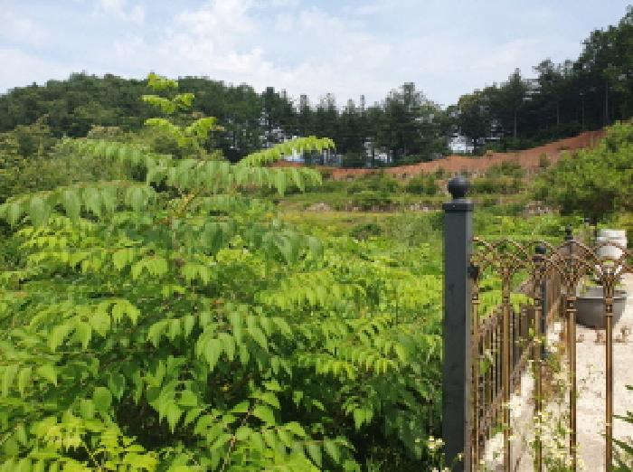 경기 가평군 설악면 대지 경매 물건 사진 3 · 2025타경71813