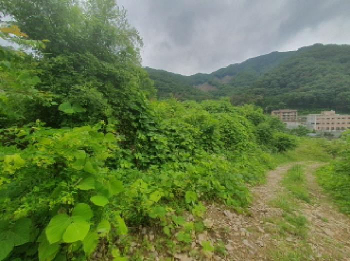 경기 가평군 청평면 임야 경매 물건 사진 2 · 2025타경71888