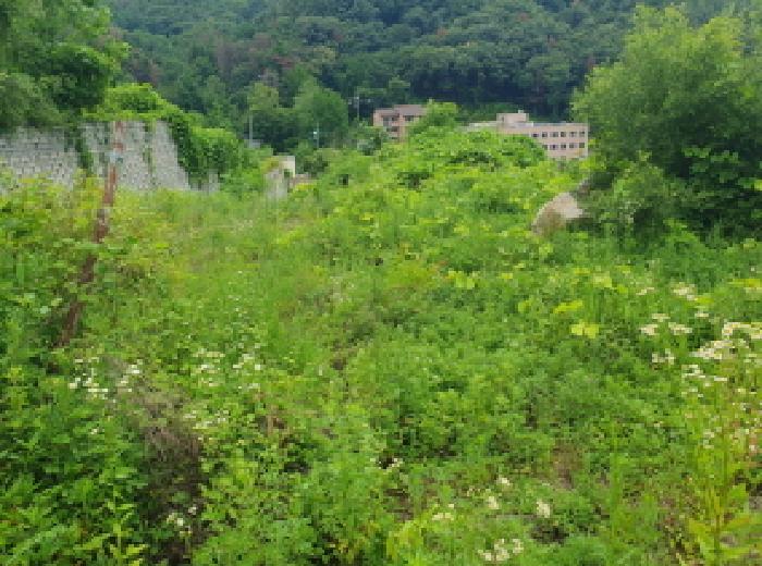 경기 가평군 청평면 임야 경매 물건 사진 3 · 2025타경71888