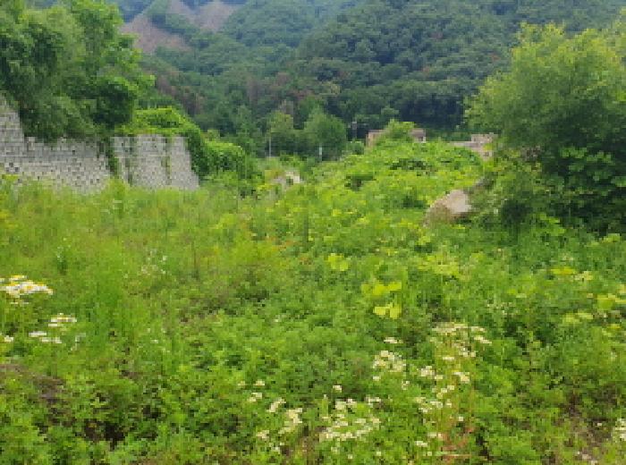 경기 가평군 청평면 임야 경매 물건 사진 4 · 2025타경71888