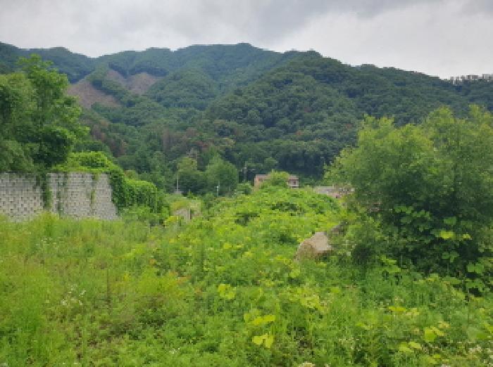 경기 가평군 청평면 임야 경매 물건 사진 5 · 2025타경71888