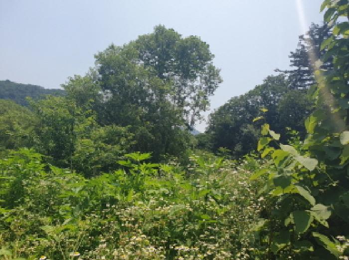 경기 가평군 청평면 답 경매 물건 사진 3 · 2025타경71932