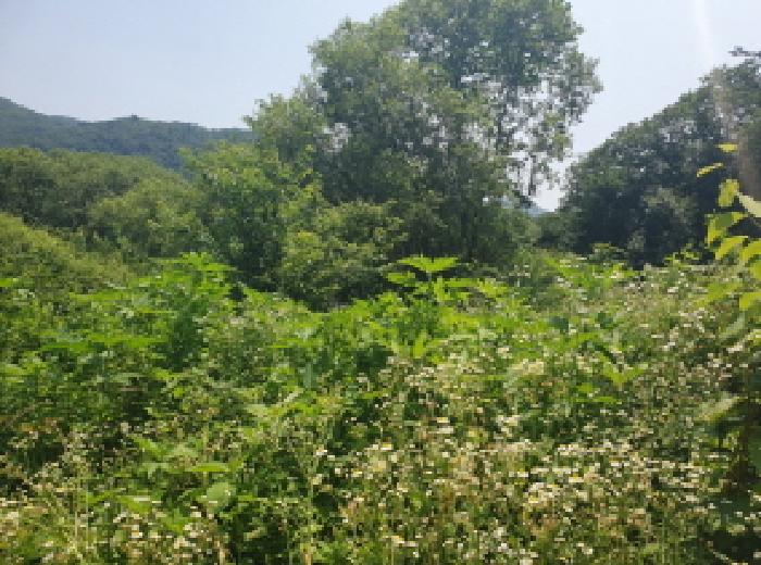 경기 가평군 청평면 답 경매 물건 사진 4 · 2025타경71932