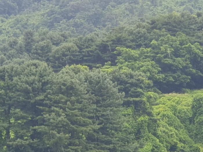 경기 가평군 청평면 전 경매 물건 사진 4 · 2025타경71960