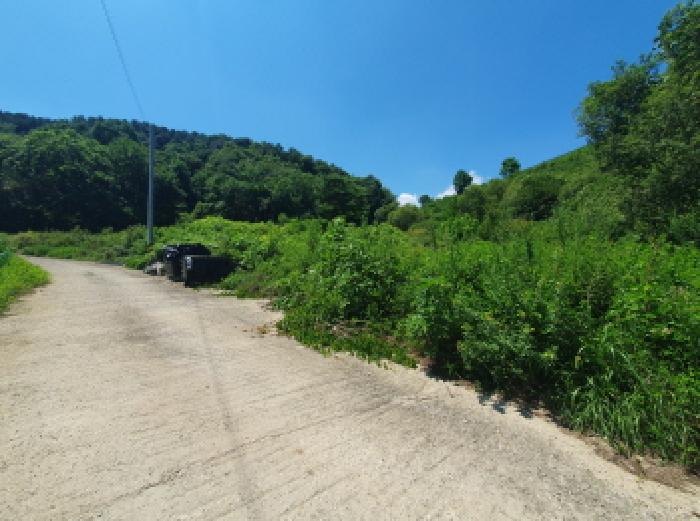 경기 가평군 설악면 대지,임야,전답 경매 물건 사진 2 · 2025타경71993