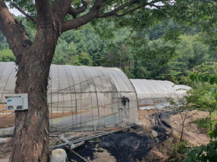 경기 가평군 조종면 전 경매 물건 사진