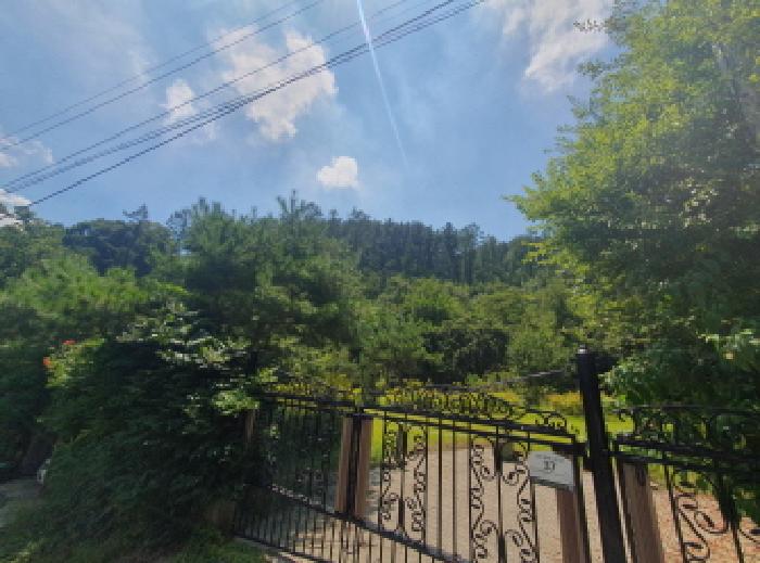 경기 남양주시 수동면 임야 경매 물건 사진 4 · 2025타경72053