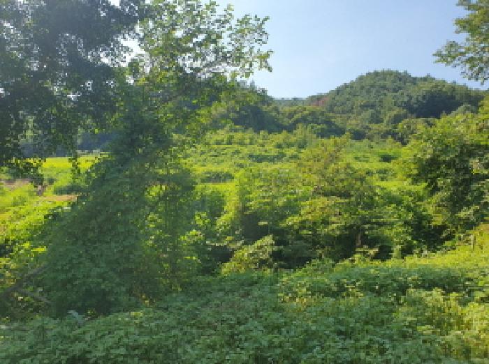 경기 가평군 가평읍 전 경매 물건 사진 6 · 2025타경72063