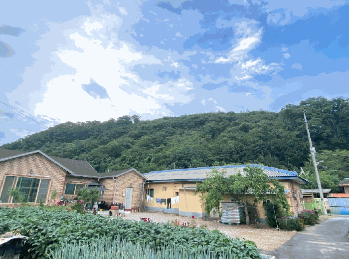 경기 가평군 청평면 임야 경매 물건 사진 5 · 2025타경72143