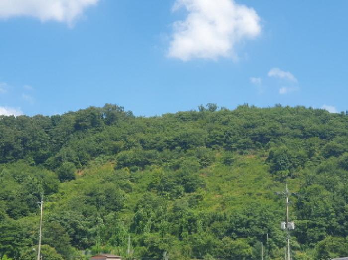 경기 가평군 청평면 임야 경매 물건 사진
