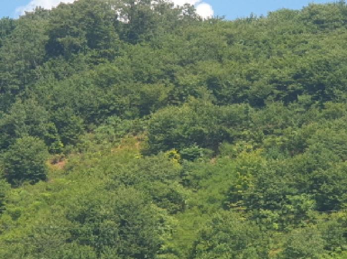 경기 가평군 청평면 임야 경매 물건 사진 3 · 2025타경72143