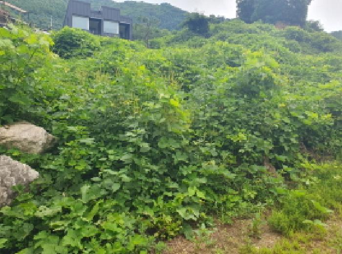경기 가평군 북면 대지 경매 물건 사진