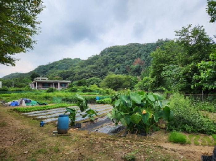 경기 남양주시 와부읍 전 경매 물건 사진 2 · 2025타경72181