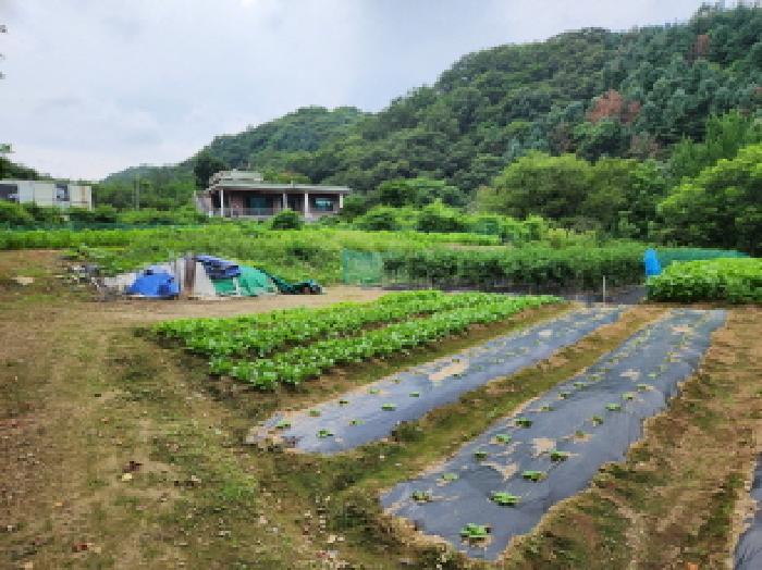 경기 남양주시 와부읍 전 경매 물건 사진 4 · 2025타경72181