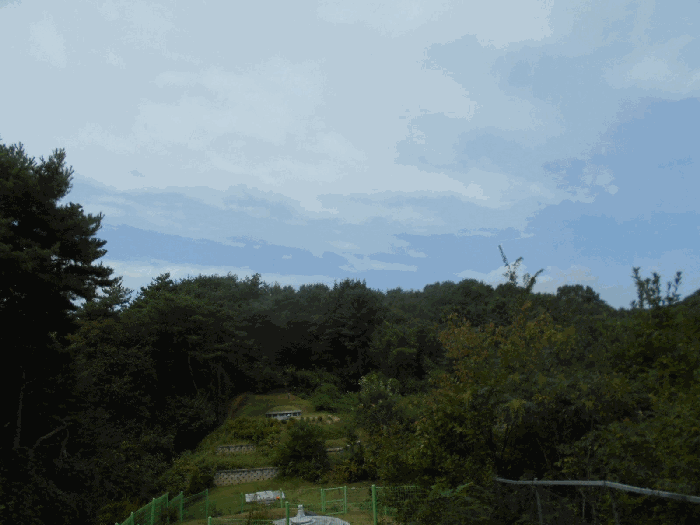 경기 남양주시 진접읍 임야 경매 물건 사진 6 · 2025타경72240