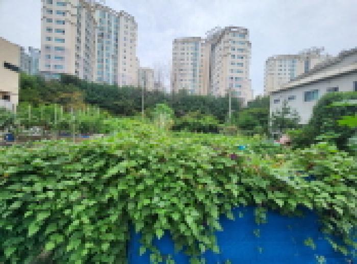 경기 남양주시 진접읍 대지 경매 물건 사진 2 · 2025타경72242