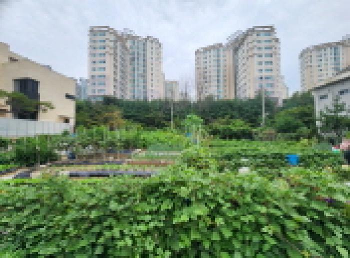 경기 남양주시 진접읍 대지 경매 물건 사진 3 · 2025타경72242