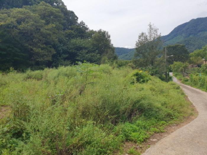 경기 가평군 청평면 대지 경매 물건 사진 4 · 2025타경72288