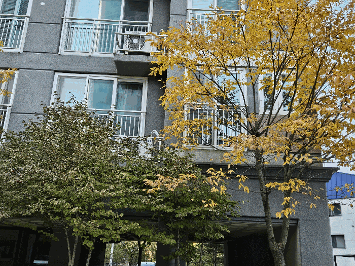 경기 가평군 설악면 아파트 경매 물건 사진 6 · 2025타경72505