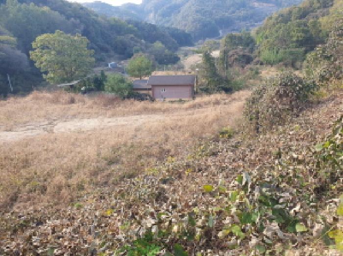 경기 가평군 설악면 대지,임야,전답 경매 물건 사진