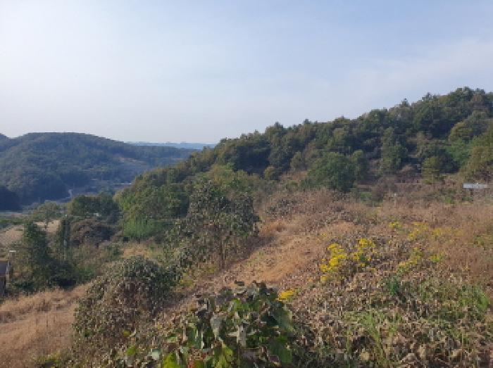경기 가평군 설악면 대지,임야,전답 경매 물건 사진 3 · 2025타경72513