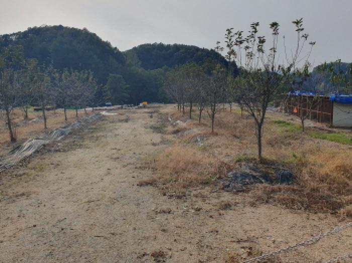 경기 가평군 설악면 대지,임야,전답 경매 물건 사진 4 · 2025타경72513