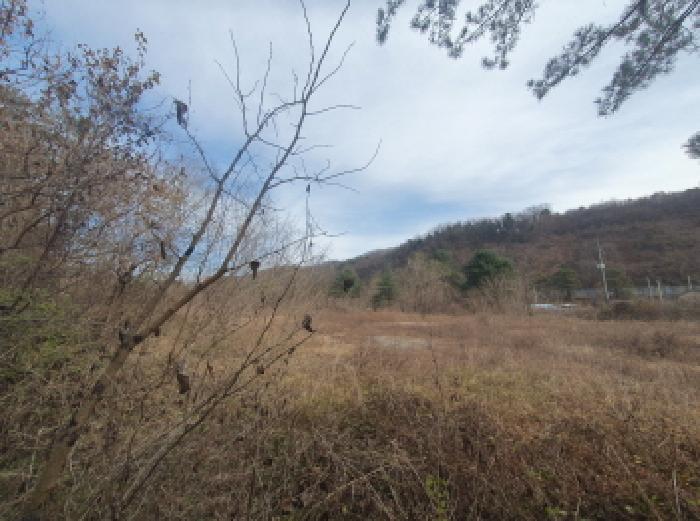 경기 가평군 청평면 대지 경매 물건 사진