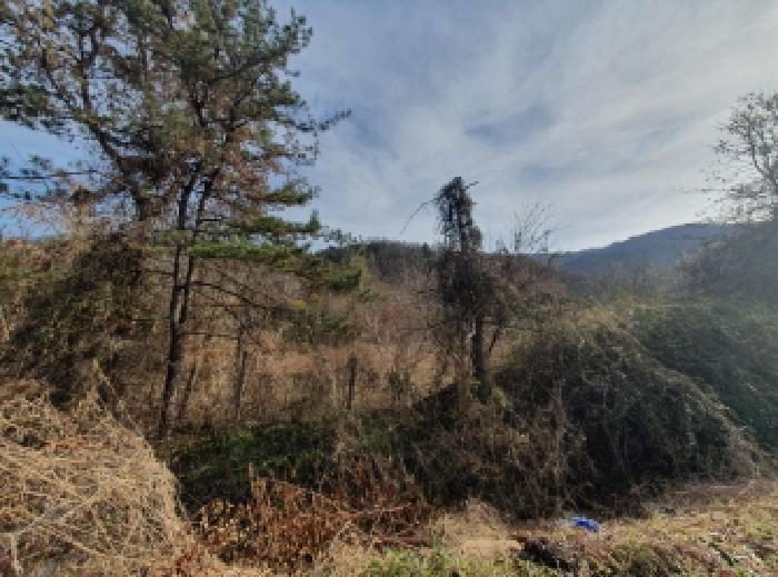 경기 가평군 청평면 대지 경매 물건 사진 5 · 2025타경72522