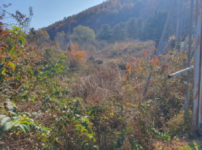 경기 남양주시 수동면 단독주택 경매 물건 사진