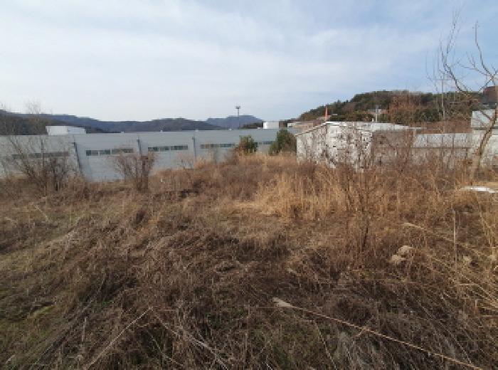 경기 남양주시 수동면 임야 경매 물건 사진 2 · 2025타경72613