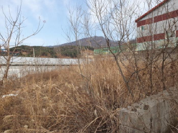경기 남양주시 수동면 임야 경매 물건 사진 5 · 2025타경72613