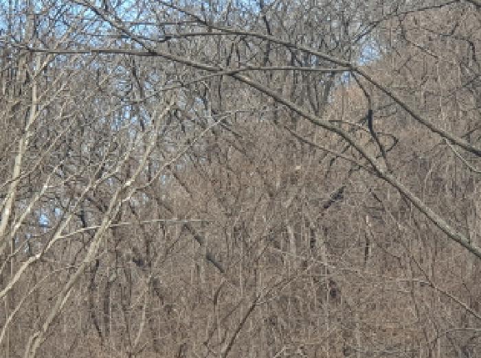경기 가평군 청평면 임야 경매 물건 사진 2 · 2025타경72661