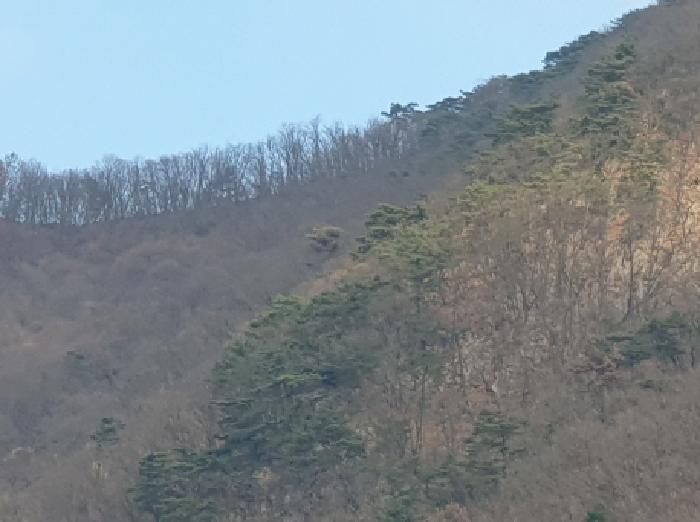 경기 가평군 청평면 임야 경매 물건 사진 4 · 2025타경72661