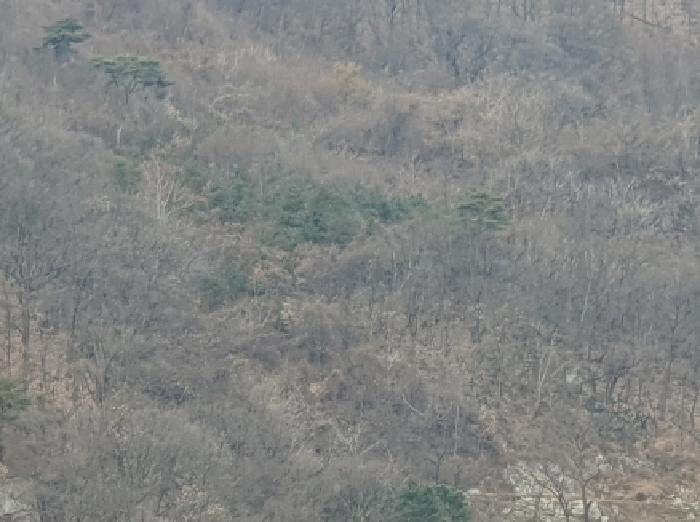 경기 가평군 청평면 임야 경매 물건 사진 5 · 2025타경72661