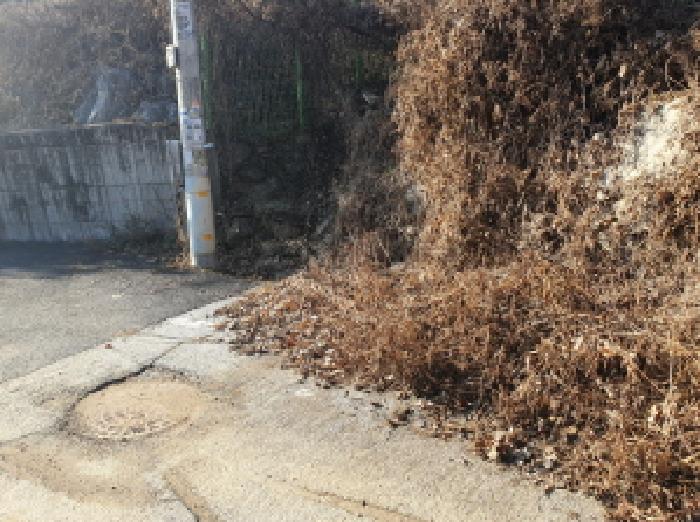 경기 가평군 상면 도로 경매 물건 사진 2 · 2025타경72739