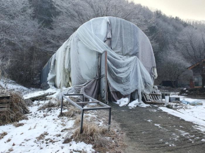 경기 가평군 북면 전답 경매 물건 사진 2 · 2025타경72786